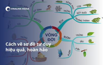 Sơ đồ tư duy là gì? Cách vẽ một sơ đồ tư duy hoàn hảo